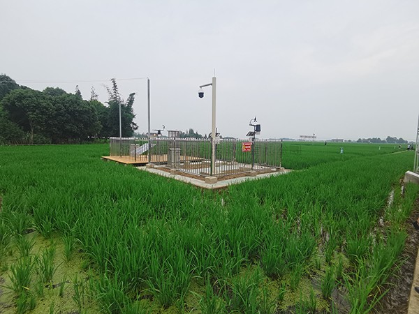 耕地质量综合监测点，，，，，，，邛崃现代农业的新索求和...