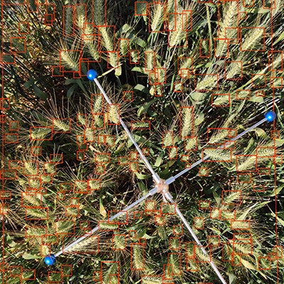 麻将胡了破解版(官方)最新IOS/安卓版/手机版APP下载