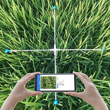 麻将胡了破解版(官方)最新IOS/安卓版/手机版APP下载