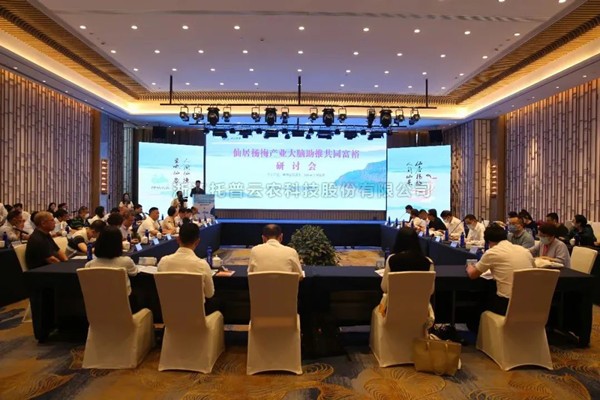 仙居杨梅：再登浙江卫视，，，，，以数字技术打造共同富足示范“幸福果”