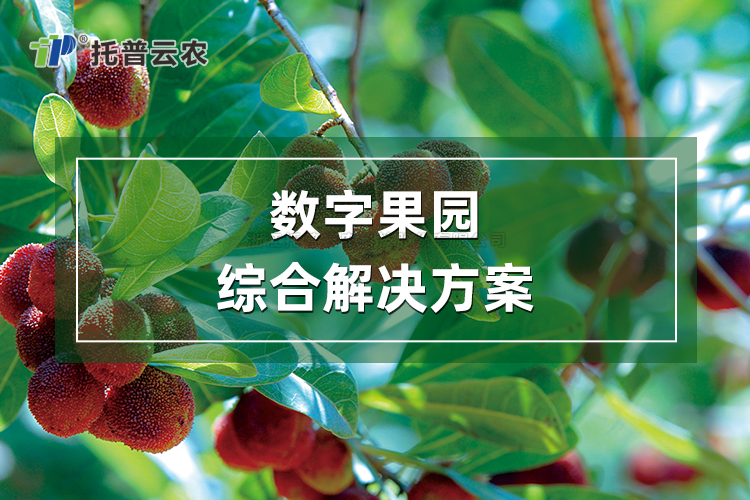 数字果园综合解决规划