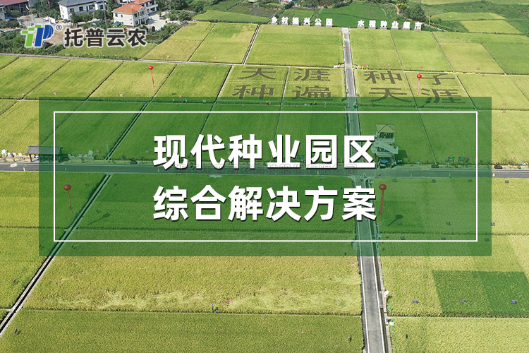 现代种业园区综合解决规划