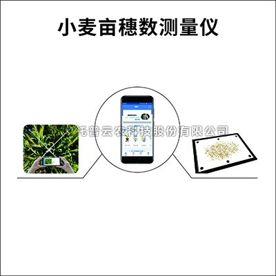 幼麦亩穗数丈量系统介绍（幼麦亩穗数丈量系统作用及职能详解）