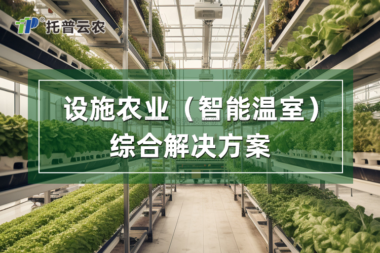 设施农业综合解决规划