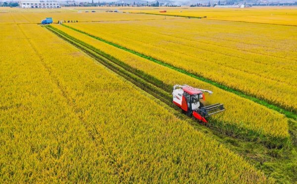 案例分享|托普在高尺度农田建设上都做了什么？？？？？