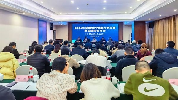全国农作物沉大病虫害产生趋向会商会召开，，，，，，麻将胡了为数字植保发展提供新思路