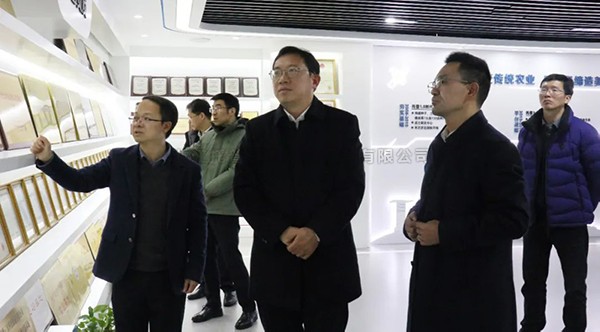 湘湖尝试室常务副主任杨华一行光临麻将胡了调查调研