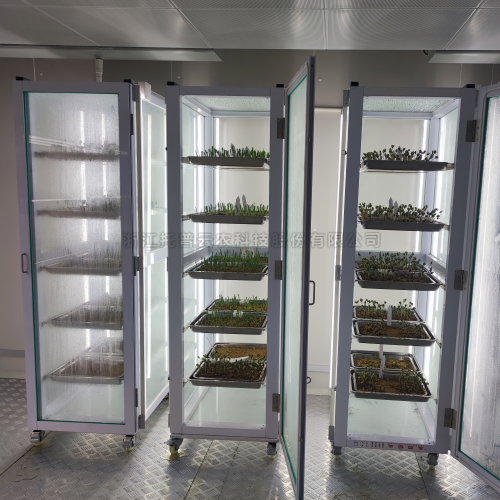 抽芽室介绍|种子抽芽室作用详解