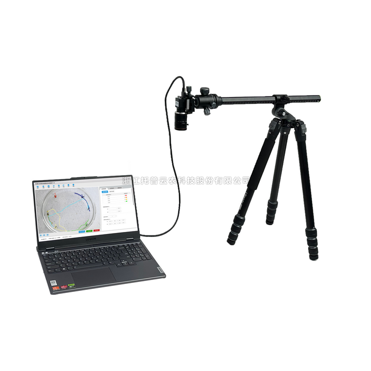 虫豸行为分析系统