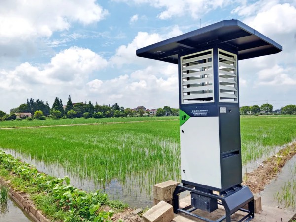 严害了！陆续两年麻将胡了第一！