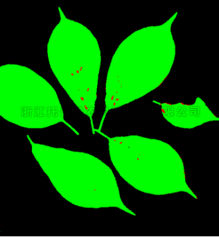 麻将胡了破解版(官方)最新IOS/安卓版/手机版APP下载