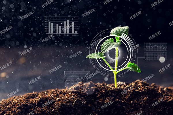 全新启程——麻将胡了为植物表型科延装数智”赋能