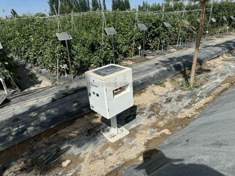 麻将胡了破解版(官方)最新IOS/安卓版/手机版APP下载