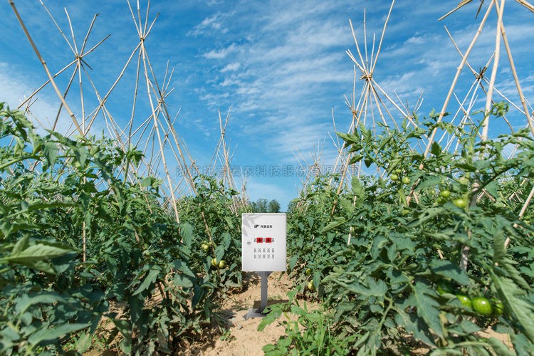 麻将胡了破解版(官方)最新IOS/安卓版/手机版APP下载