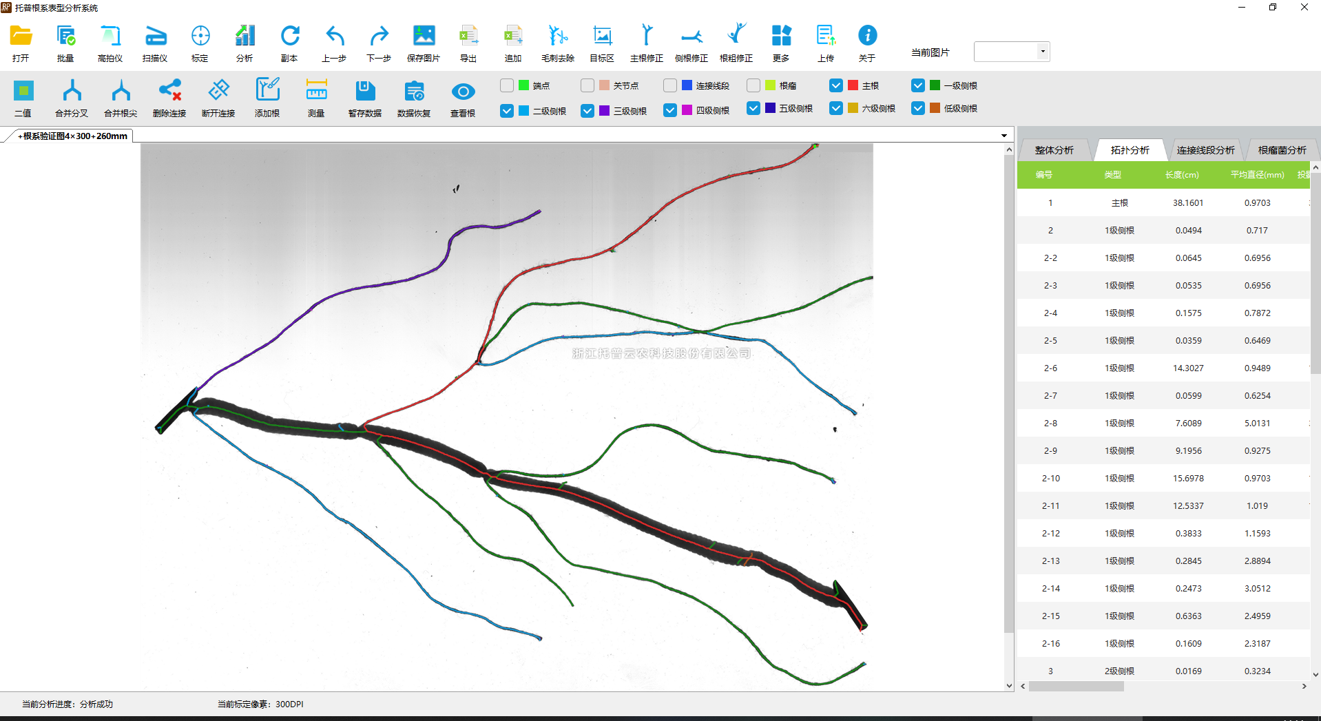 麻将胡了破解版(官方)最新IOS/安卓版/手机版APP下载