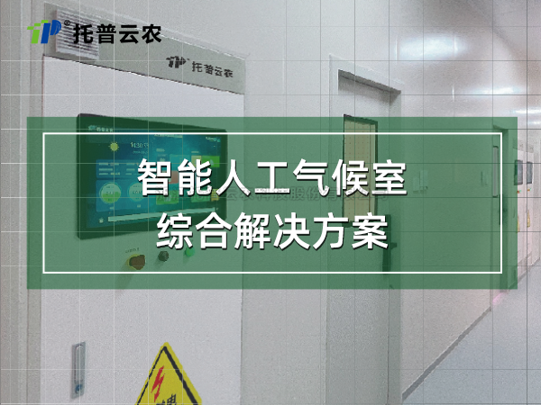 智能人为气象室综合解决规划