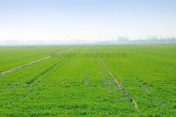 科技赋能春耕，，，，，，，，麻将胡了智慧农情监测站再获央视关注