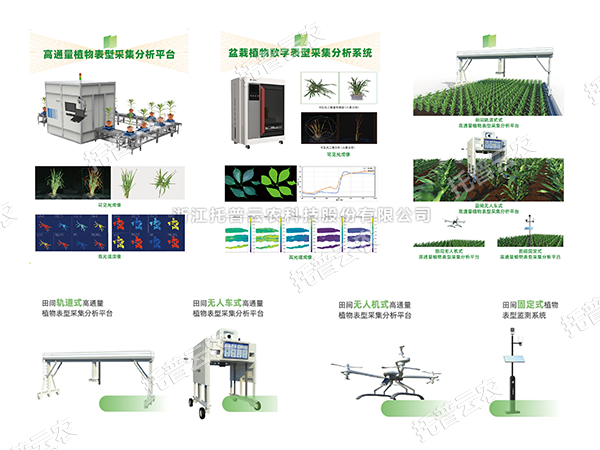 AI+农业新突破！托普高通量植物表型智能分析平台助力智慧农业创新发展