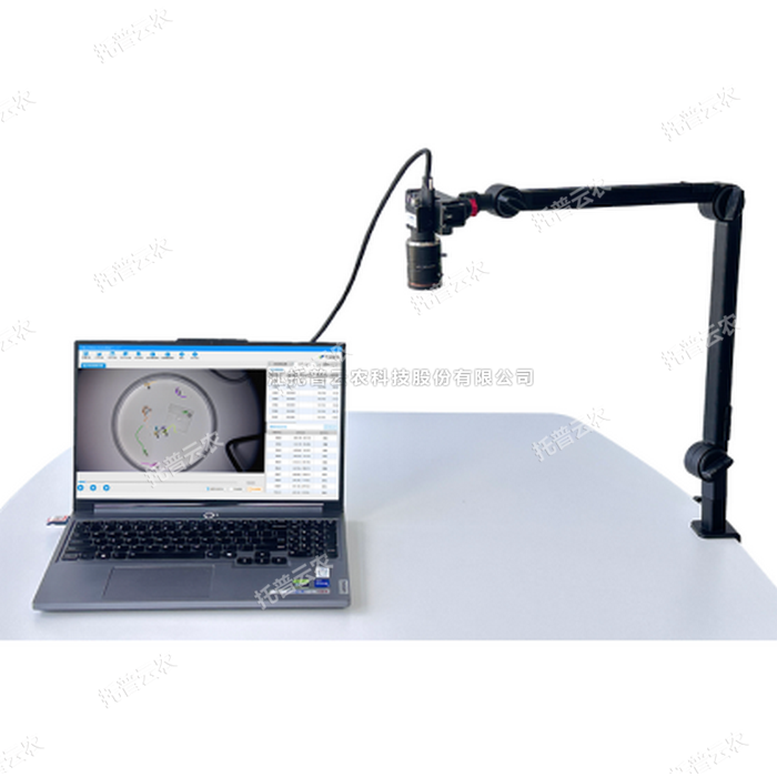 麻将胡了破解版(官方)最新IOS/安卓版/手机版APP下载