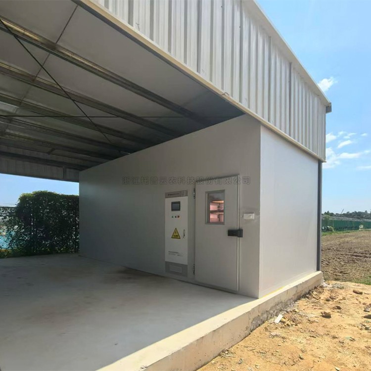 麻将胡了破解版(官方)最新IOS/安卓版/手机版APP下载