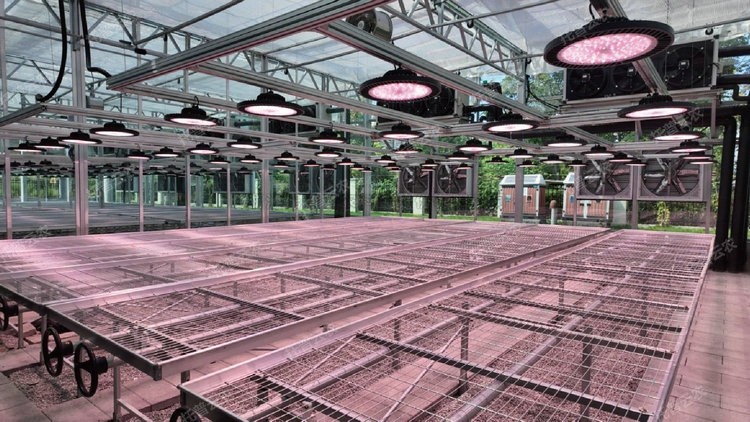 麻将胡了破解版(官方)最新IOS/安卓版/手机版APP下载