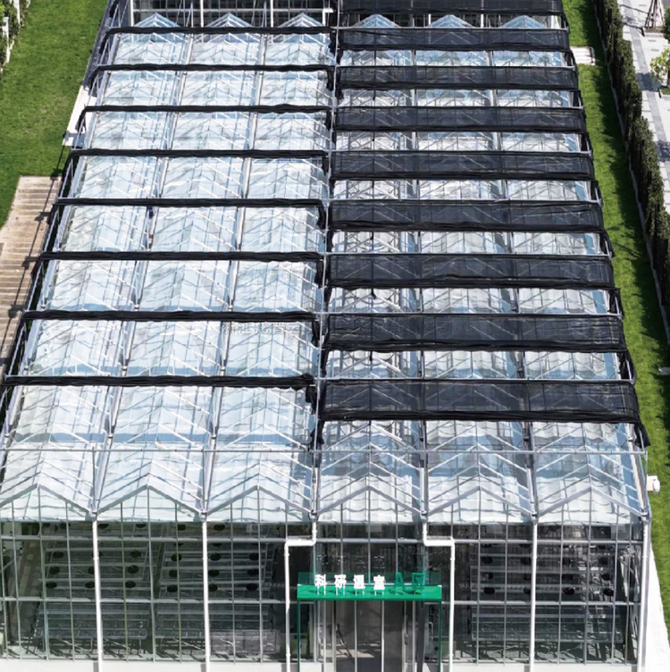 麻将胡了破解版(官方)最新IOS/安卓版/手机版APP下载