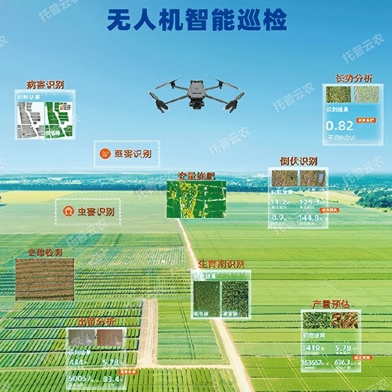 麻将胡了破解版(官方)最新IOS/安卓版/手机版APP下载