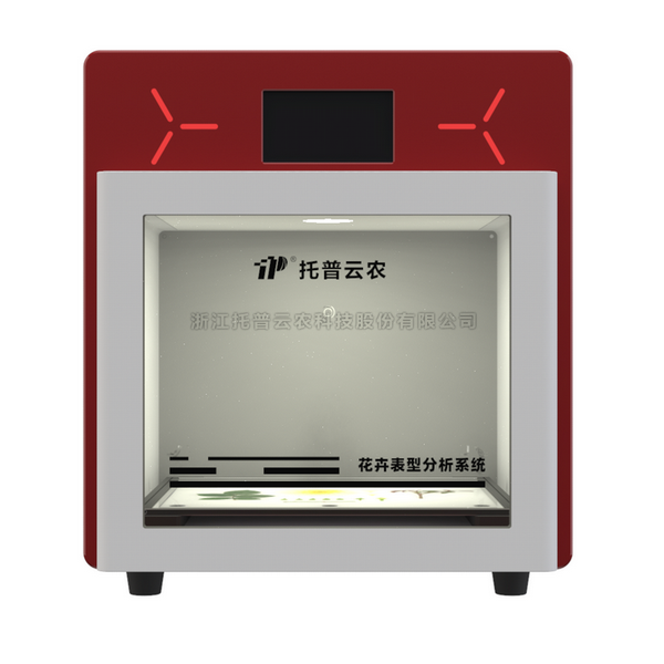 麻将胡了破解版(官方)最新IOS/安卓版/手机版APP下载