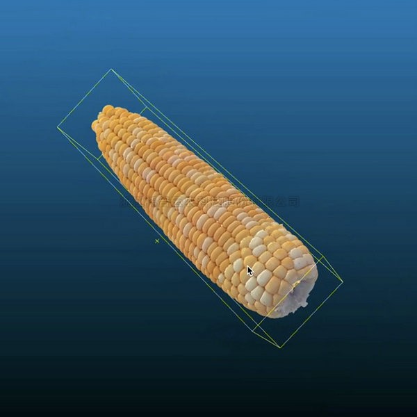 麻将胡了破解版(官方)最新IOS/安卓版/手机版APP下载