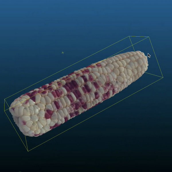 麻将胡了破解版(官方)最新IOS/安卓版/手机版APP下载