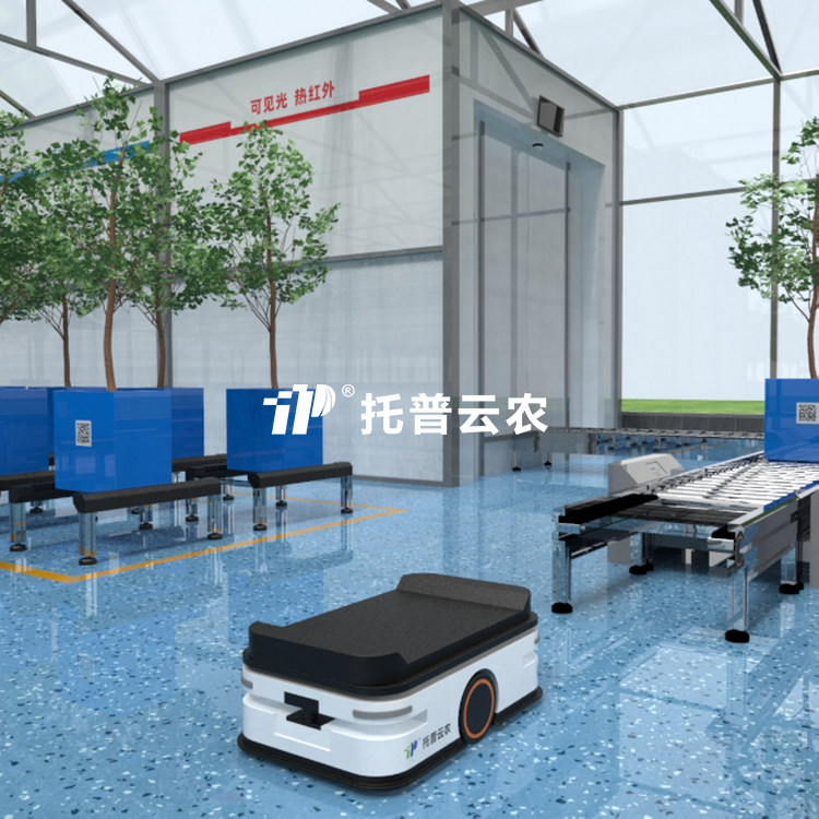 盆栽果树高通量表型采集分析系统TP-GTL-WGS