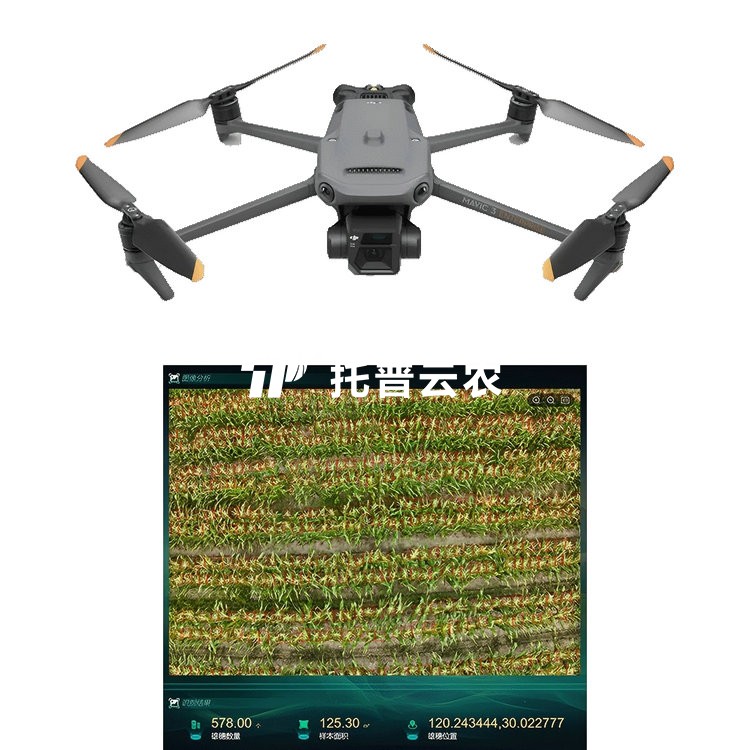 玉米表型成长监测系统TP-KJG-YM