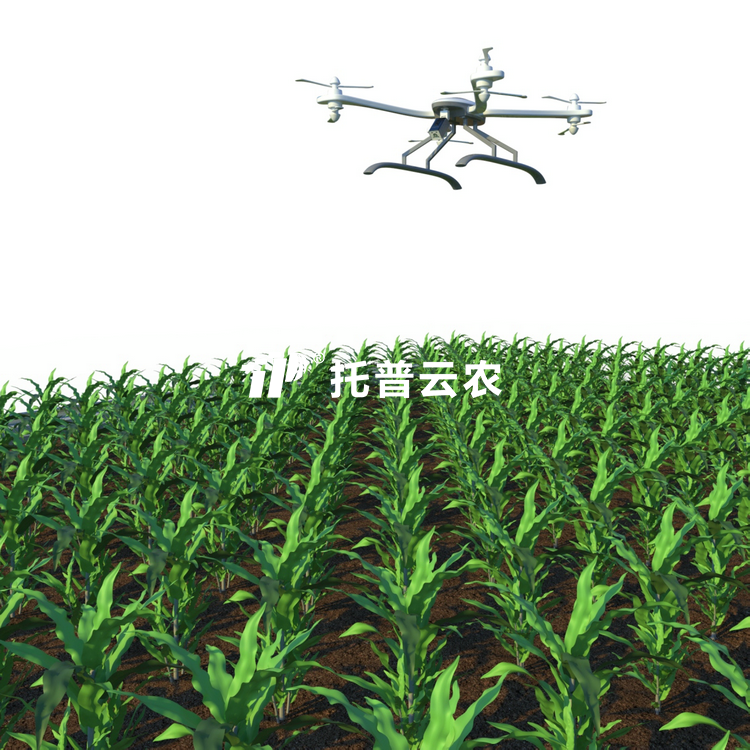 田间无人机式高通量植物表型采集分析平台TP-GTL-AIR