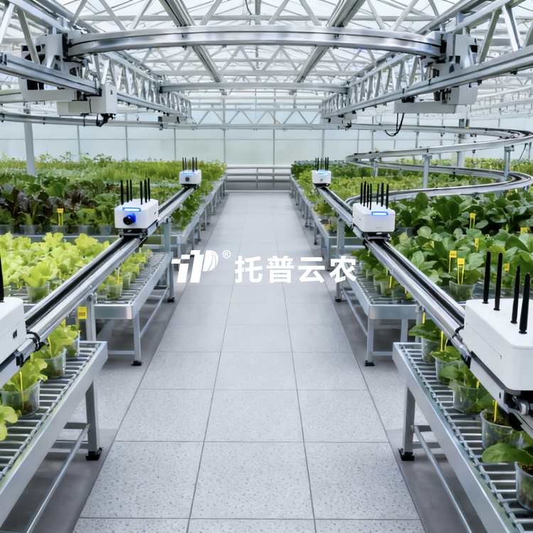 温室巡轨式表型采集分析系统TP-DG-1\TP-DG-3