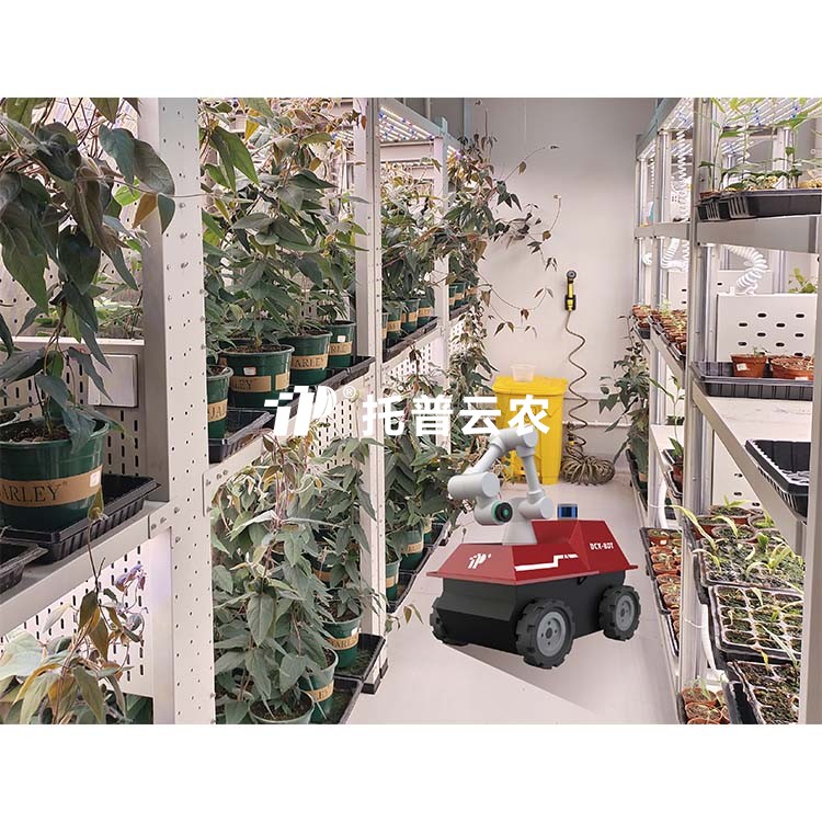 麻将胡了破解版(官方)最新IOS/安卓版/手机版APP下载