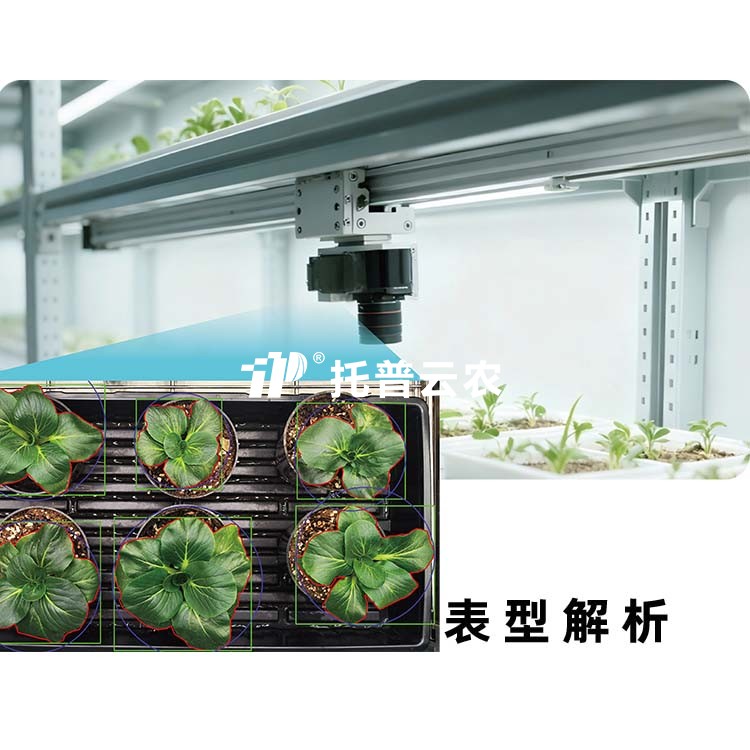 麻将胡了破解版(官方)最新IOS/安卓版/手机版APP下载