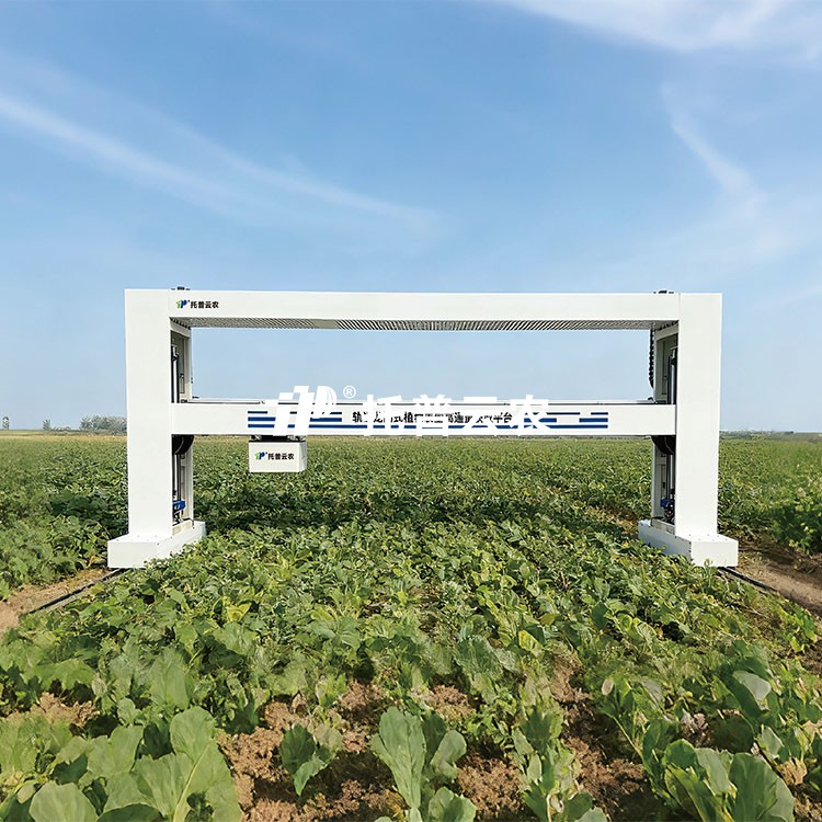 麻将胡了破解版(官方)最新IOS/安卓版/手机版APP下载