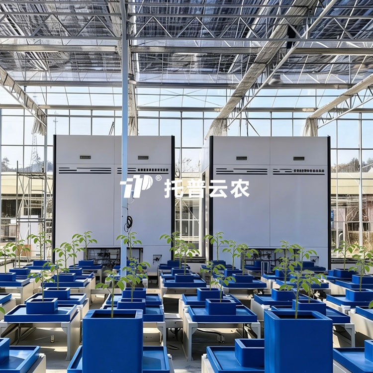 麻将胡了破解版(官方)最新IOS/安卓版/手机版APP下载