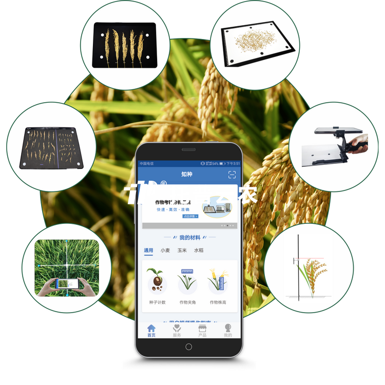 大豆表型检测仪TPD-BX-1