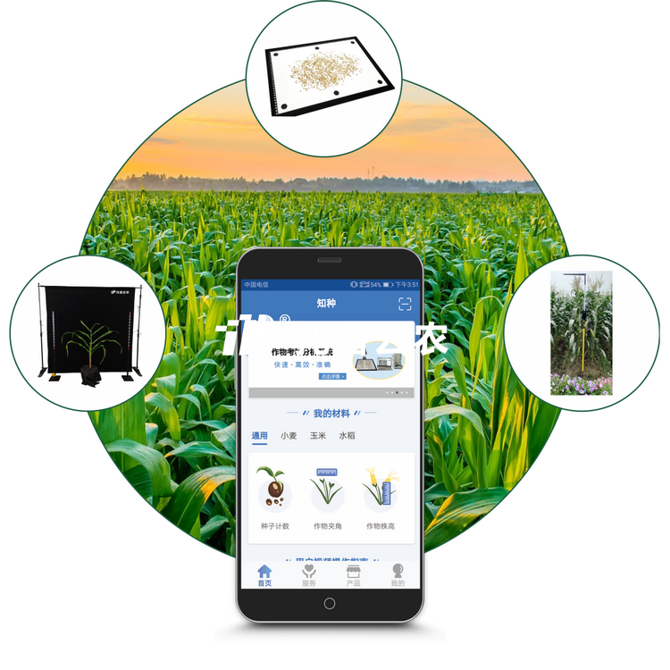 玉米表型检测仪TPY-BX-1