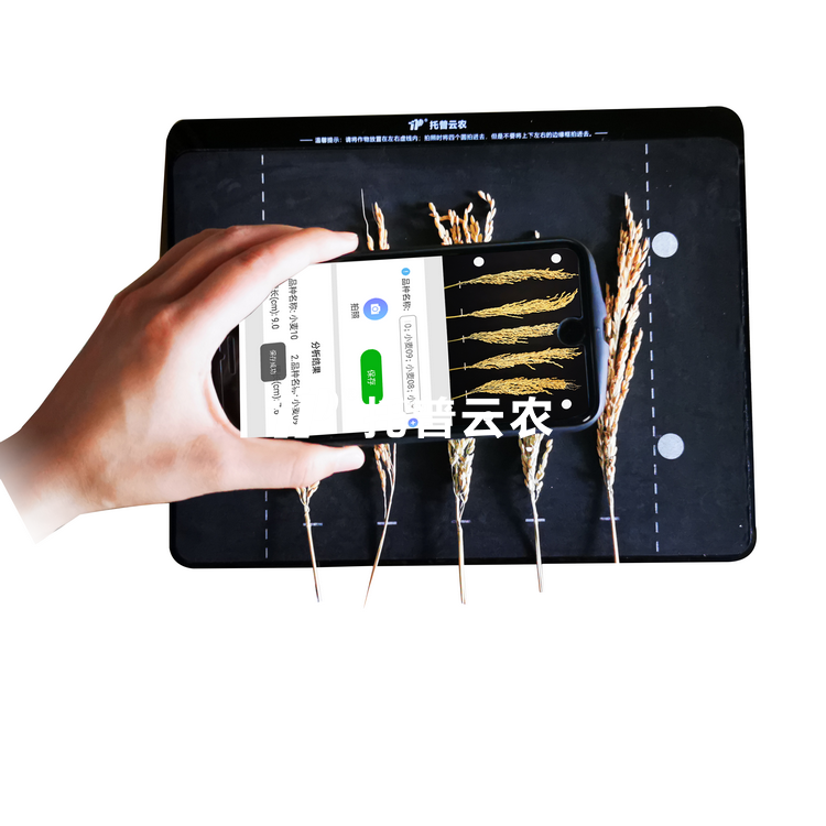 稻穗状态丈量仪TPDS-X-1