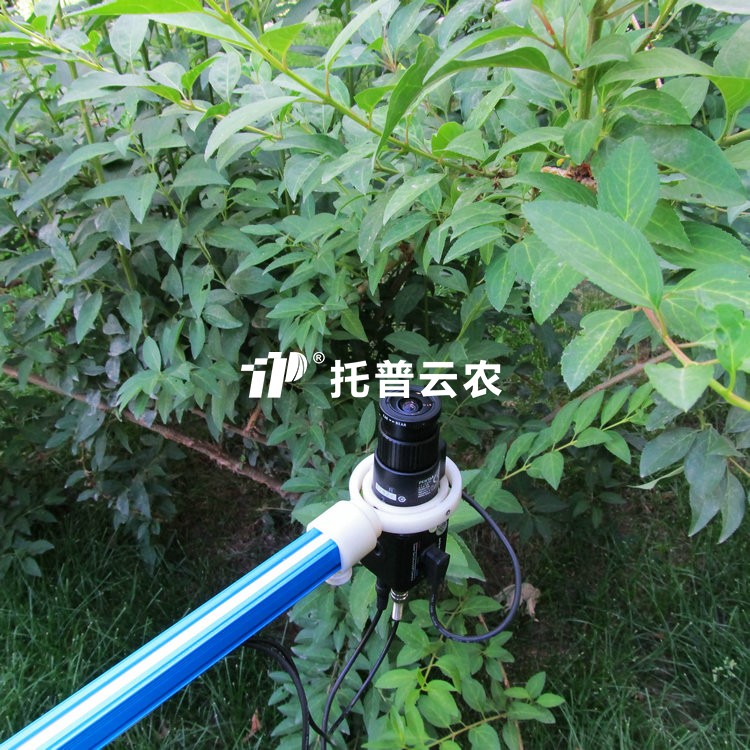 植物冠层图像分析仪TOP-1300