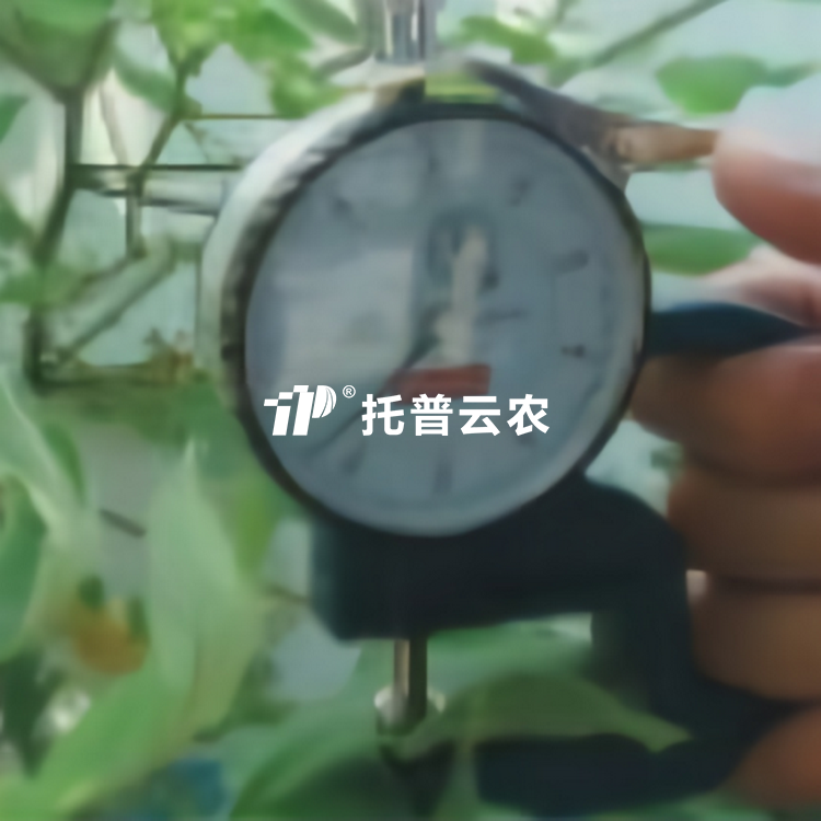 叶片厚度测定仪YH-1