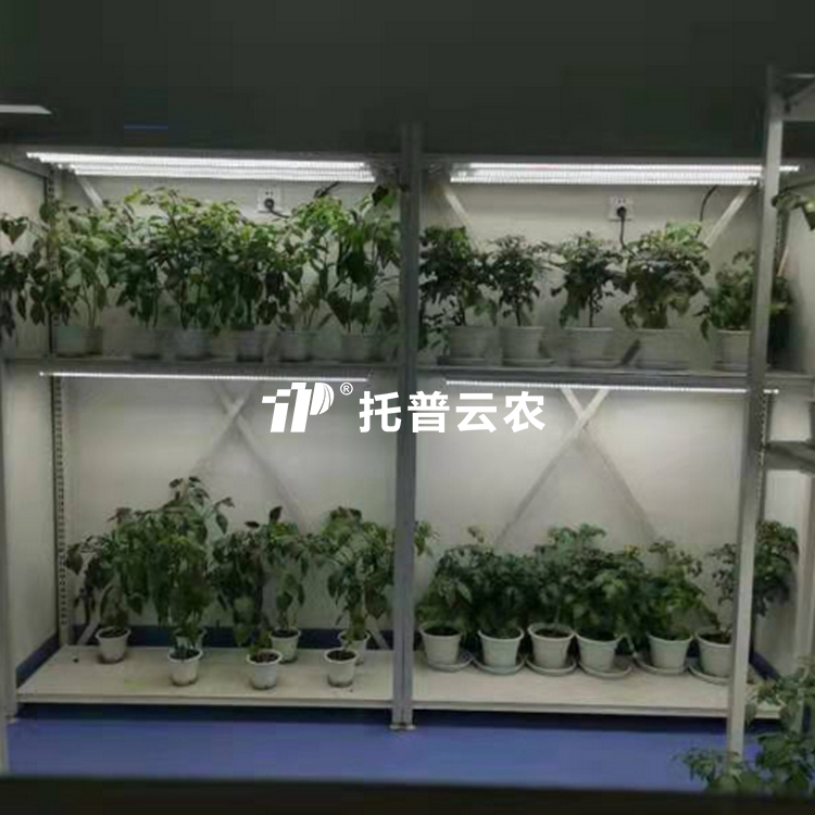 植物病理钻研室/