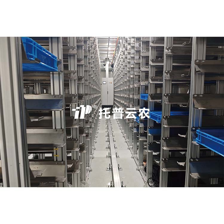 麻将胡了破解版(官方)最新IOS/安卓版/手机版APP下载