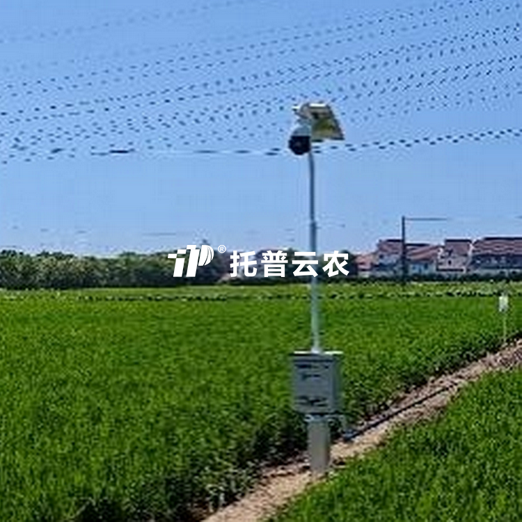 自动赶蛾智能统计杆TP-GESB2.0