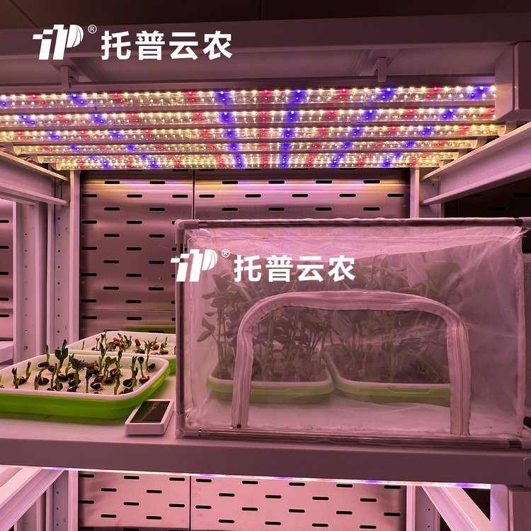 顶置光源人为气象室是什么？？？？？？