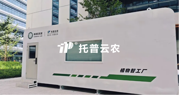 植物工厂的光照系统设计逻辑