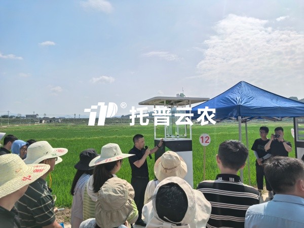 从“监测”到“智庞妆！麻将胡了智能（AI)虫情测报灯沉磅颁布，，，，，，智慧植保迈入“智庞妆时期