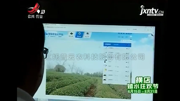 江西公共卫视播报建水果菜茶代替项目